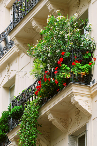 Stockfoto: Parijs · balkon · ijzer · vol · bloemen · historisch
