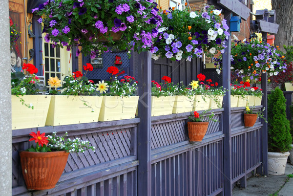 Restaurant patio colorat gard flori primăvară Imagine de stoc © elenaphoto