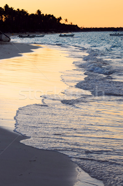 Tropical beach at sunset Stock photo © elenaphoto