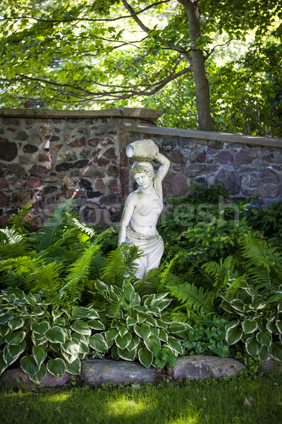 Zacieniony bylina ogród bujny zielone lata Zdjęcia stock © elenaphoto