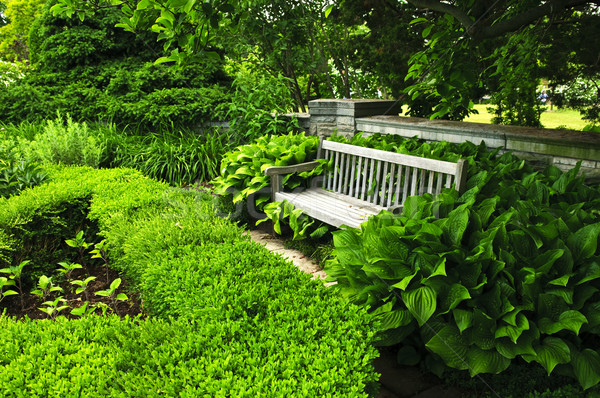 Foto stock: Exuberante · verde · jardín · piedra · paisajismo · pared