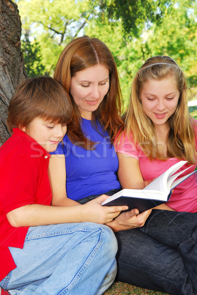 Family reading a book Stock photo © elenaphoto