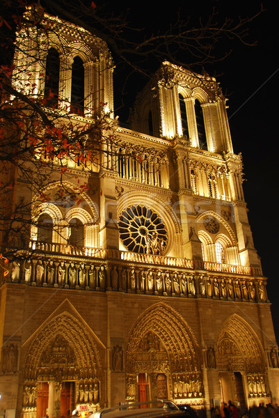 [[stock_photo]]: Dame · Paris · cathédrale · nuit · arbre · église