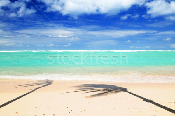 Tropical beach Stock photo © elenaphoto