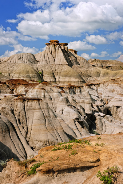 Badlands in Alberta, Canada Stock photo © elenaphoto