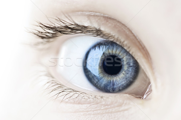 Eye closeup Stock photo © elenaphoto