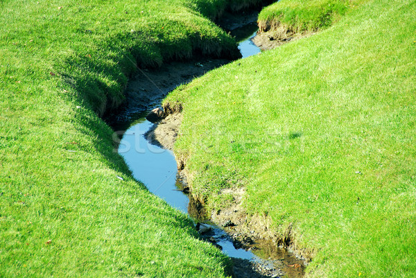 Brook Stock photo © elenaphoto