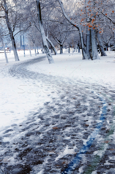 冬 公園 歩道 カバー 雪 ストックフォト © elenaphoto