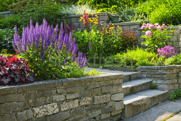 Stock foto: Garten · Stein · Landschaftsbau · natürlichen · home · Schritte