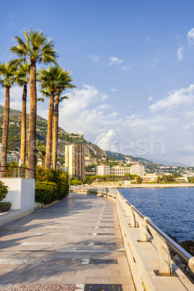 Promenada Monaco vedere marea mediterana coastă Imagine de stoc © elenaphoto