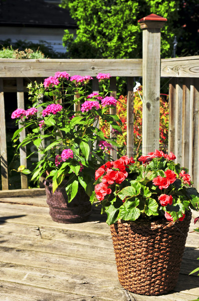 Flower pots on house deck Stock photo © elenaphoto