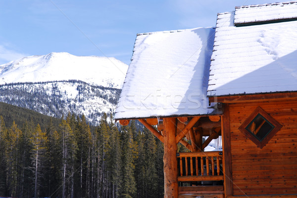 Log mountain cabin Stock photo © elenaphoto