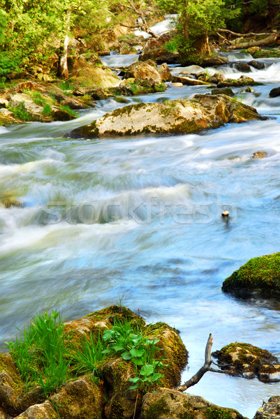 River rapids Stock photo © elenaphoto
