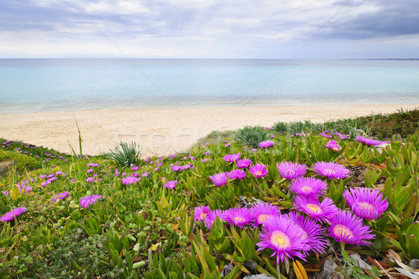 Aegean sea coast in Greece Stock photo © elenaphoto