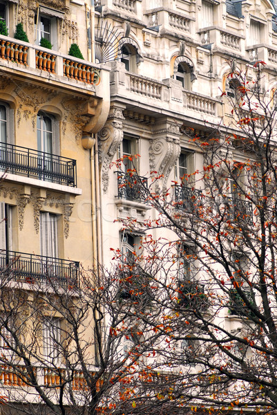 巴黎 建設 秋天 樹 樹 商業照片 © elenaphoto