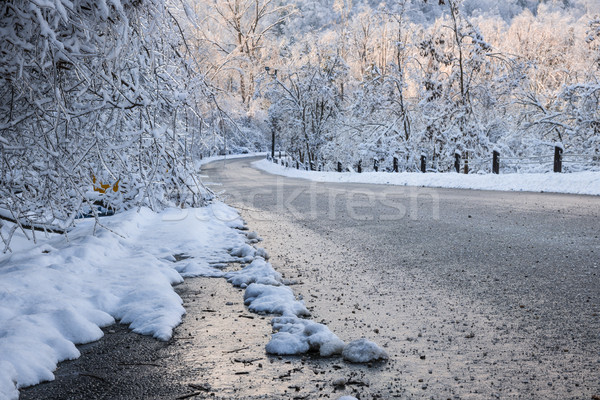 Stock foto: Szenische · Straße · Winter · Wald · icy · bedeckt