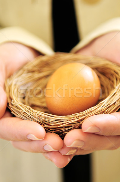 Hands holding nest with egg Stock photo © elenaphoto