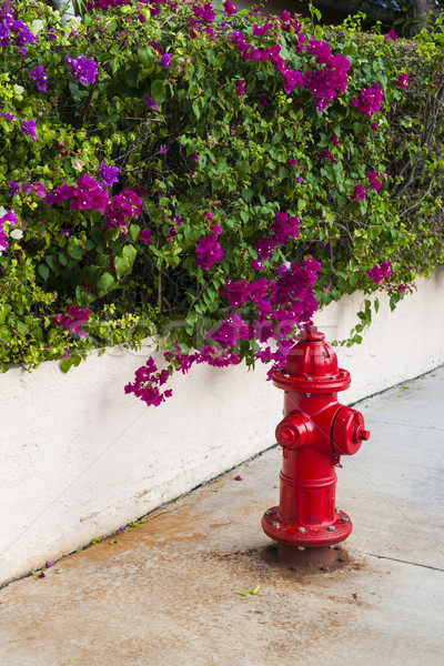 Key West fire hydrant Stock photo © elenaphoto