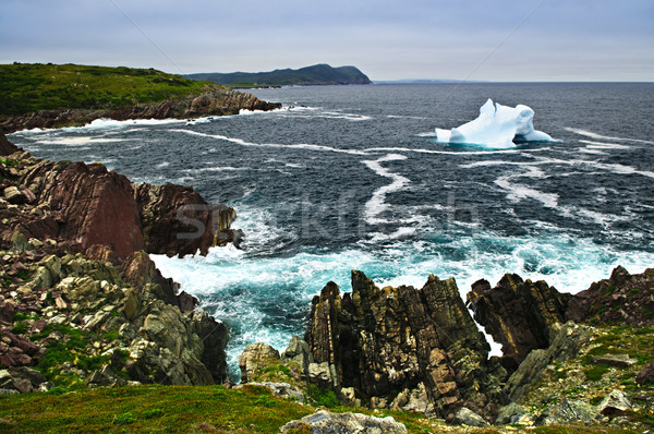 Melting iceberg Stock photo © elenaphoto