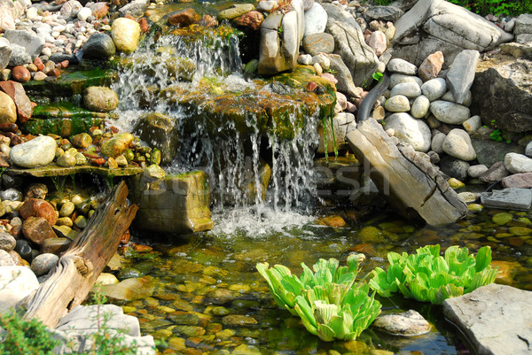 Pond Stock photo © elenaphoto