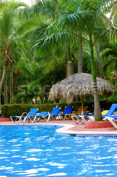 Zwembad palmbomen tropische resort boom bomen Stockfoto © elenaphoto