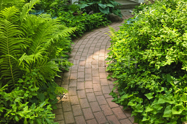 Stock foto: Ziegel · Weg · Garten · üppigen · grünen · Sommer