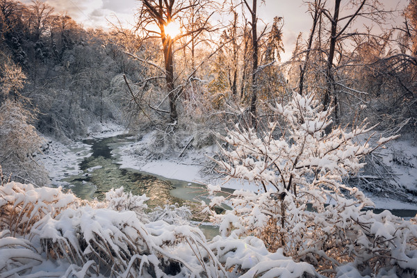 Pădure parau iarnă furtună peisaj zăpadă Imagine de stoc © elenaphoto