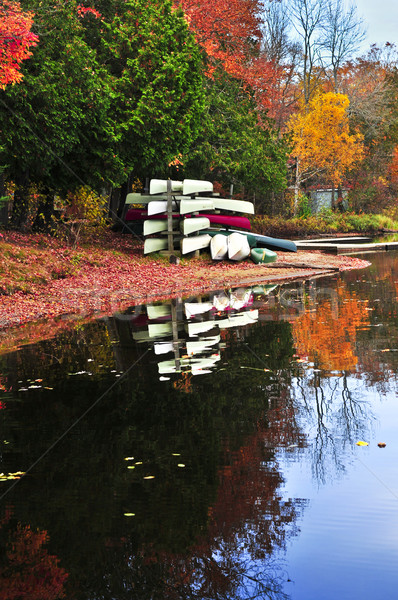 Cair floresta reflexões colorido outono árvores Foto stock © elenaphoto