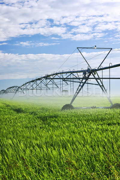 Irrigation equipment on farm field Stock photo © elenaphoto