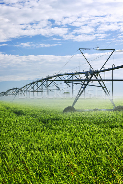 Irrigazione farm campo industriali saskatchewan Foto d'archivio © elenaphoto