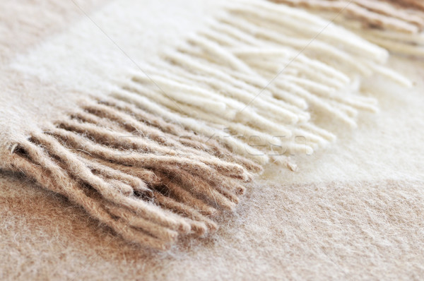 Cozy alpaca wool blanket Stock photo © elenaphoto