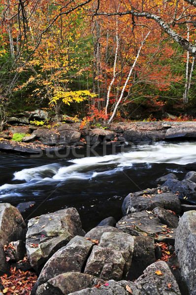 Fall forest and river landscape Stock photo © elenaphoto