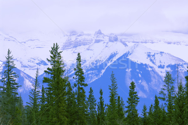 Mountain landscape Stock photo © elenaphoto