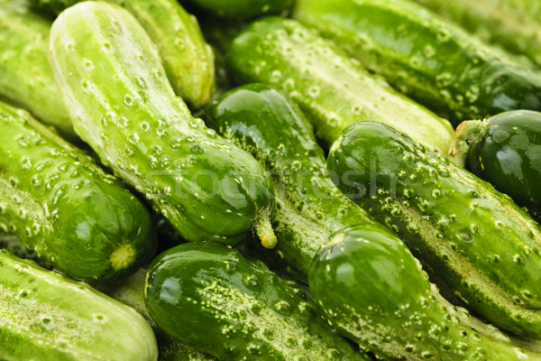Cucumbers background Stock photo © elenaphoto