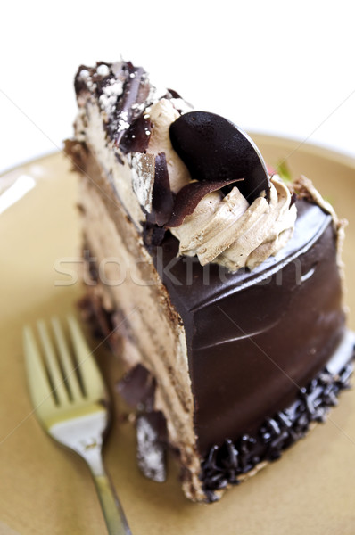 Slice of chocolate cake Stock photo © elenaphoto