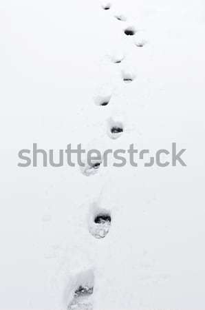 Footprints in snow Stock photo © elenaphoto