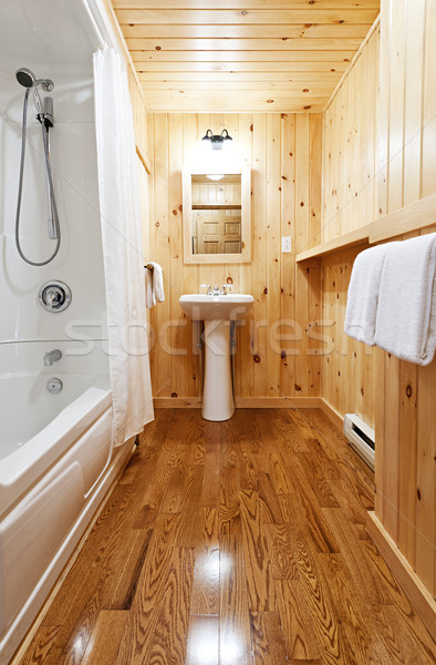 Fürdőszoba belső illemhely fenyőfa fa fal Stock fotó © elenaphoto