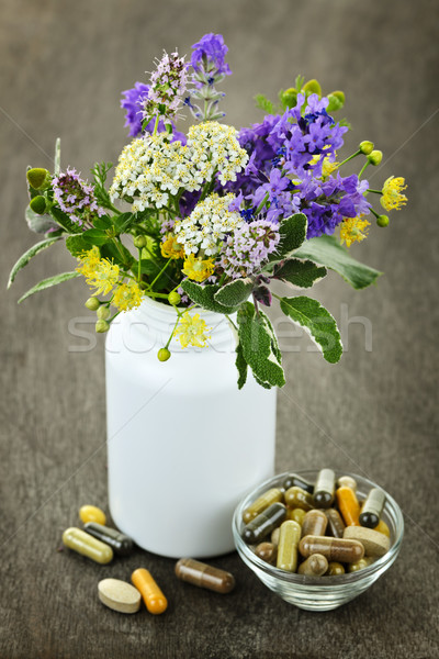Herbal medicine and plants Stock photo © elenaphoto