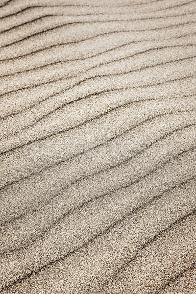 Sand ripples background Stock photo © elenaphoto