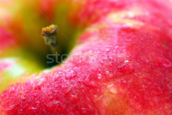 Imagine de stoc: Red · apple · macro · picaturi · de · apa · apă · măr · fruct