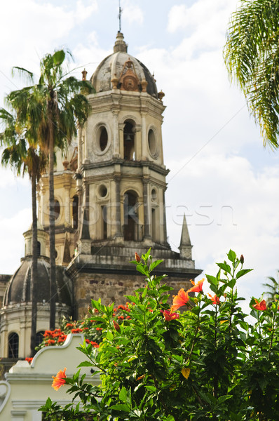 Foto d'archivio: La · Messico · hibiscus · fioritura · tempio · solitudine