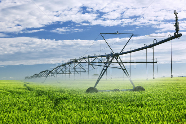 Irrigation équipement ferme domaine industrielle saskatchewan Photo stock © elenaphoto