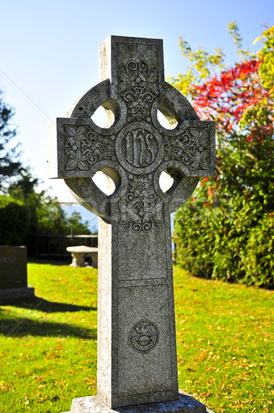 Kerkhof celtic kruis heldere gazon oude Stockfoto © elenaphoto