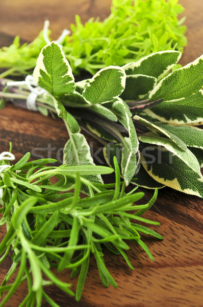 Bunches of fresh herbs Stock photo © elenaphoto