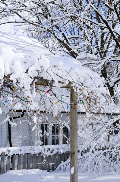 Előkert ház tél fedett hó Toronto Stock fotó © elenaphoto