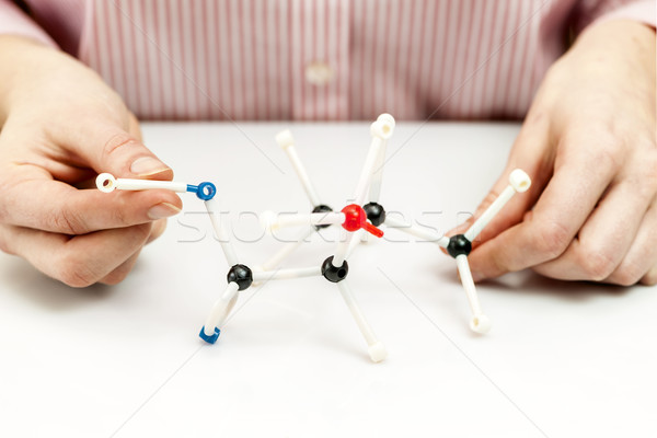 Student assembling molecule models Stock photo © elenaphoto