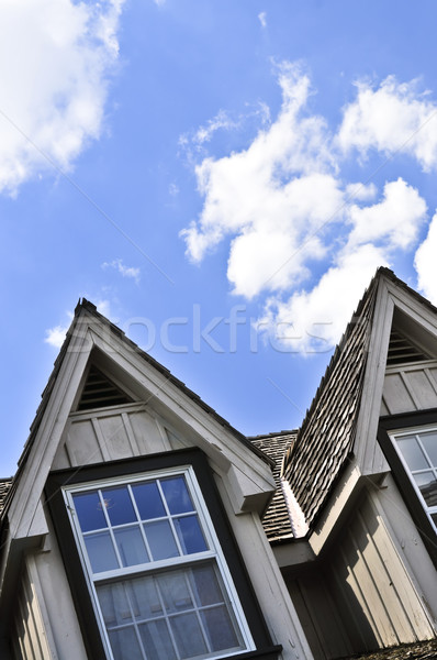 House detail Stock photo © elenaphoto