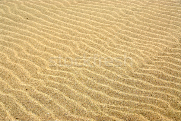 Sand background Stock photo © elenaphoto