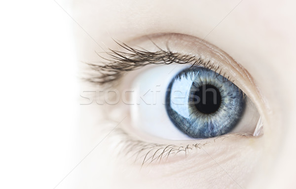 Eye closeup Stock photo © elenaphoto