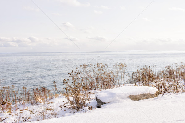 Winter shore of lake Ontario Stock photo © elenaphoto